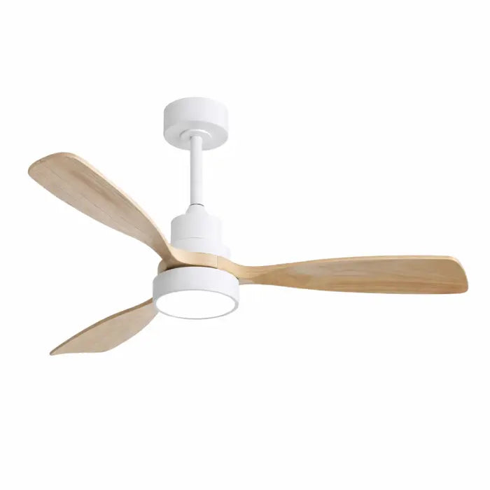 Ventilateur de plafond- Isa Lumivento