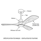 Ventilateur Plafond Silencieux eispas