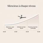 Ventilateur plafond silencieux - Spirite eispas