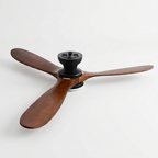 Ventilateur Plafond Silencieux eispas