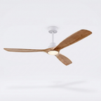Ventilateur Plafond Silencieux eispas