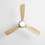 Ventilateur Plafond silencieux - Hydre eispas