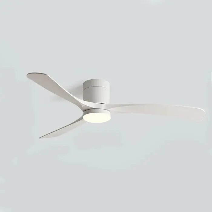 Ventilateur plafond- Zen Lumivento