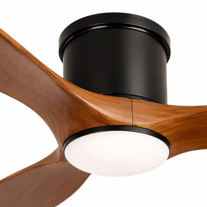 Ventilateur plafond- Leo Lumivento